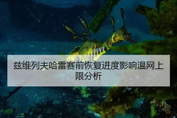 兹维列夫哈雷赛前恢复进度影响温网上限分析